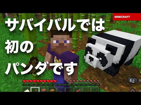 マインクラフト 統合版 セーブデータ が壊れています このセーブデータを削除します マイクラ Ps4 Bedrock Youtube