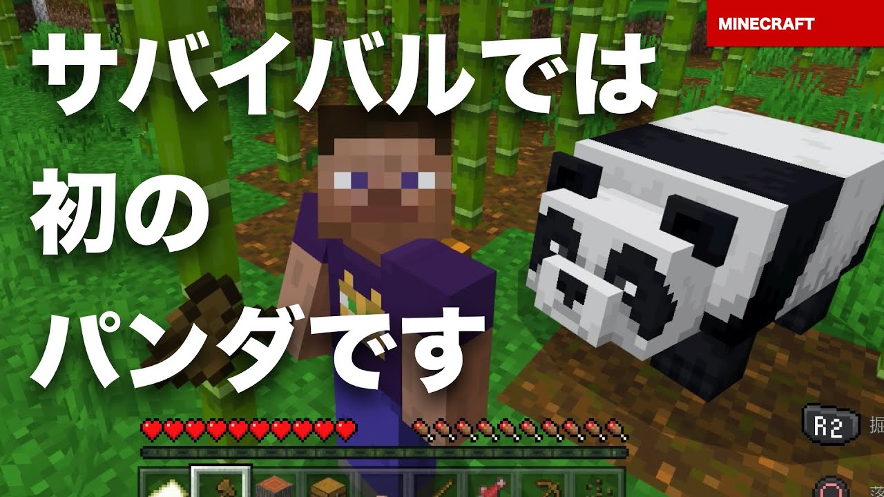 マインクラフト 統合版 セーブデータ が壊れています このセーブデータを削除します マイクラ Ps4 Bedrock Youtube