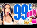 99 Cent Store Shopping Spree!