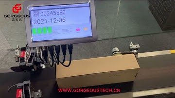 Gorgeous 2 separated heads TIJ printer for coding each sides of carton