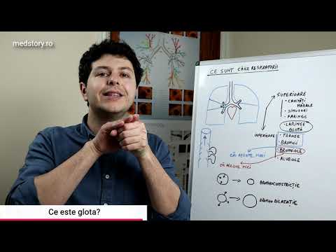 Video: Boli Bacteriene Respiratorii La Cobai