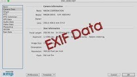 Super easy exif data exposure vulnerability practical Lab..| exif data | #bugbounty #trick #cybersec