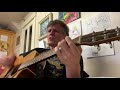 Whisky in the jar  thin lizzy acoustic cover by neil collins