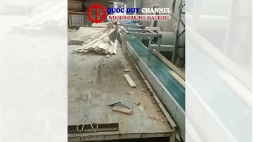 Máy cắt khuyết tật tốc độ cao I Máy cắt chọn lựa tự động