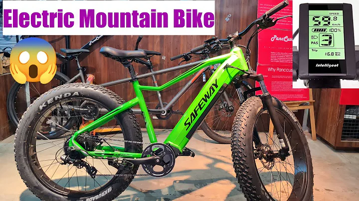Electric Mountain Bike in Nepal|बिजुली साईकल|Safeway Electric Mountain Bicycle@technicalbook5014