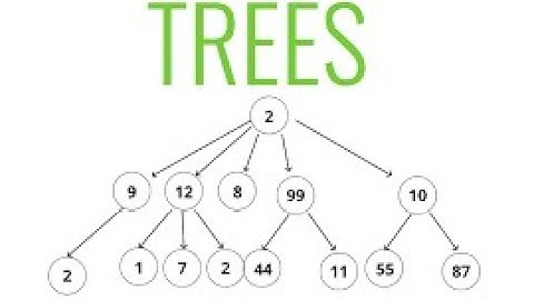 1) Roots equals sum of children || LeetCode || Amazon ||How to approach Trees||#Trees#datastructure