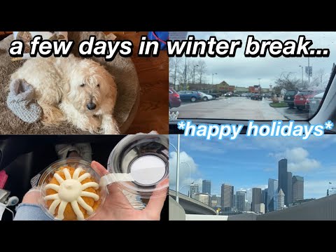 vlog: a few days of winter break in my life 2020 *final preparations for christmas*