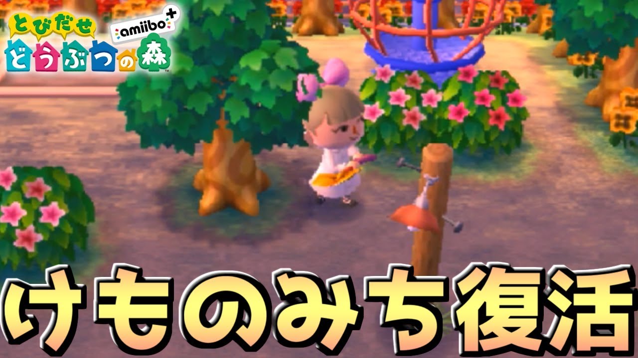 獣道の公園を復活させます 獣道の作り方も紹介 とびだせどうぶつの森 Youtube