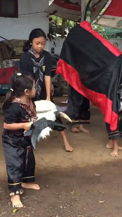 Bantengan cilik lo iki #bantengan #bantenganmalang #mberot #shortsviral