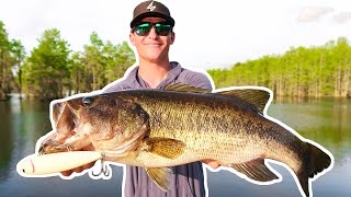 Catching BIG Bass on BIG TOPWATER! (Lake Fishing)