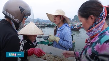 Toàn cảnh Cảng Cái Rồng, trung tâm kinh tế của Vân Đồn