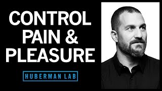 How to Control Your Sense of Pain & Pleasure | Huberman Lab Podcast #32