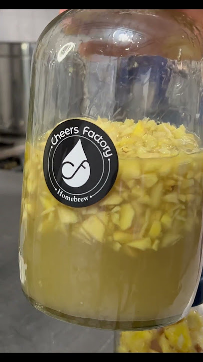 GINGER SODA - Sustituto casero y saludable para los refrescos (refresco de jengibre)