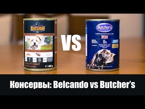 Видео: WellPet добровольно отзывает консервированный корм для собак Beef Topper