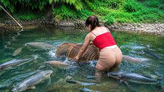 How to Harvest Monster Fish With Primitive Traps & Traditional Bamboo Basket | Wild River Life
