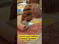 Live ice cream making in lulumall Trivandrum, #lulutrivandrum#lulumall