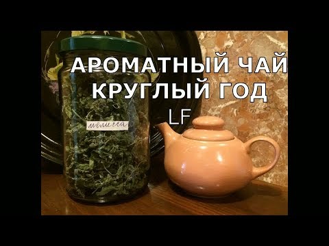 Как сушить мелиссу в домашних условиях для чая
