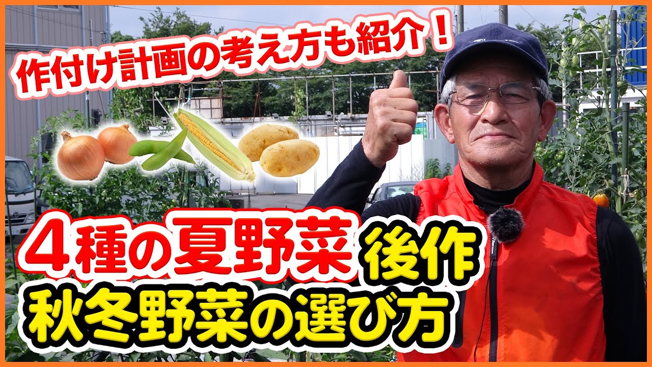 夏野菜後作におすすめの秋冬野菜を解説 タマネギ エダマメ トウモロコシ ジャガイモの跡地 家庭菜園で連作障害を気にせず楽しめる野菜とは 輪作 農園ライフ Youtube