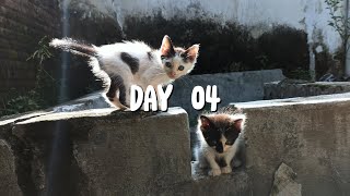Day 04 by Akmal Bahtiar 284 views 1 month ago 8 minutes, 50 seconds