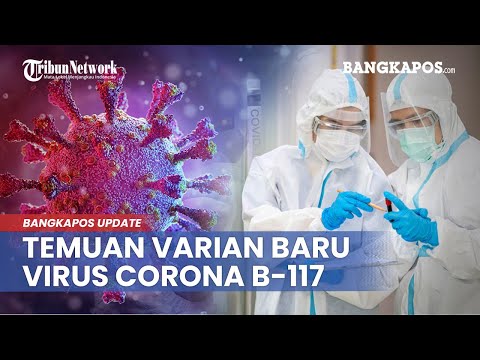 Temuan Dua Kasus Varian Baru Virus Corona B-117