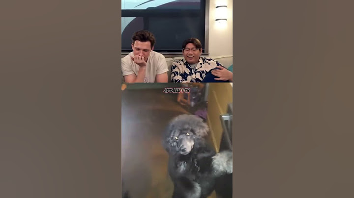 Ohh straight in the face ?!! #tomholland #memes #dog