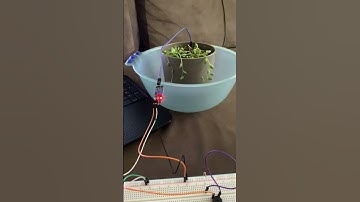 Toprak-Nem Algılama Sensörü ile Led-Buzzer Kontrol Projesi | ARDUINO PROJECT