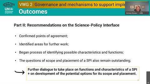 SAICM Virtual Working Groups Process (VWG2)