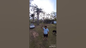 Epic Slow-Mo: How to Use Bullet Time Mode on Insta360 Camera
