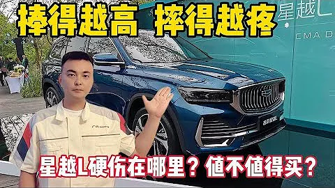 星越L是国产之光？上市前被吹得天花乱坠，为何如今却惨遭打脸？ - 天天要闻