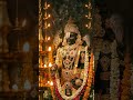 🙏 Infinite Bliss: Lord Balaji's Divine Jeweled Darshan✨ | #Shorts