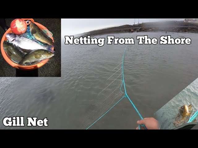 How to use a Gill Net for Fishing Bait 