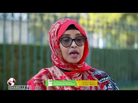 In Qabiirkii Xaquuqul Iinsaanka Ee Soomaaliya Loo Soo Magacaabi Jiray Meesha Laga Saaray Oo 