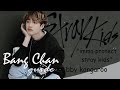 Stray Kids guide: Bang Chan edition