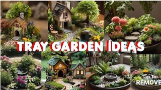 Ide berkebun/ ide berkebun di dalam nampan/ ide/ ide berkebun/ taman kecil di dalam nampan Ide berkebun/ ide berkebun di dalam nampan/ ide/ ide berkebun/ taman kecil di dalam nampan
