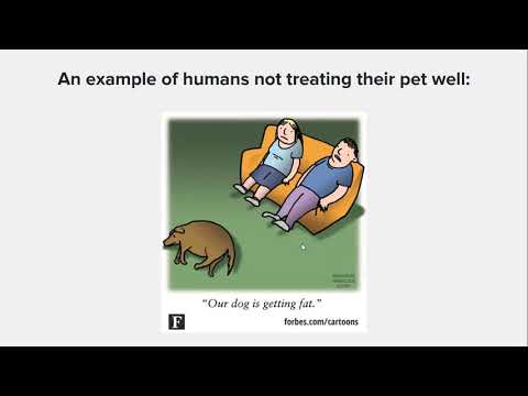 Video: Šunų Nutukimo Atpažinimas Ir Kaip Galite Padėti