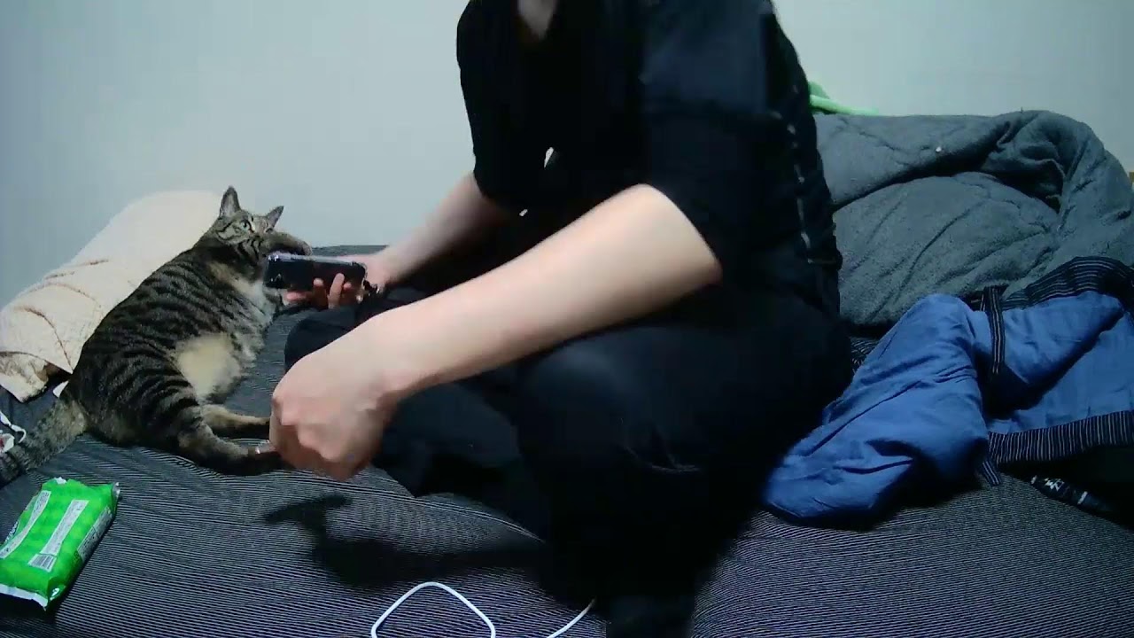 真・しま監視中