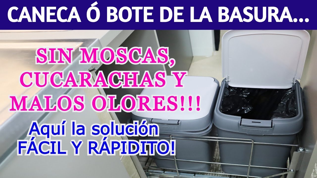 🌺 Cómo evitar INSECTOS Y MALOS OLORES en la CANECA Ó BOTE DE BASURA ...