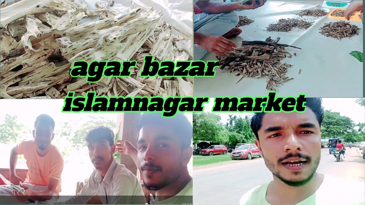 agar bajar Islam Nagar market agar ceiling