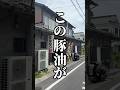 脂身のとろけ具合が異常。行橋で45年続くとんかつ屋はエモいで片付けられたくない #shorts #北九州グルメ #九州旅行　#行橋グルメ