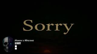Human X Machine - Sorry