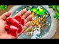 Great Catch Ornamental Fish In Giant Colorful Eggs, Goldfish, Dumbo Guppy, Baby Turtle, Carp, Frog