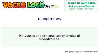 Monotremes – English Pronunciation, Definition, Synonyms, Antonyms, Example Sentence