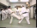 MAKOTO SHI-KON Kaichô Jon Bluming, Kyokushin-Budokaï