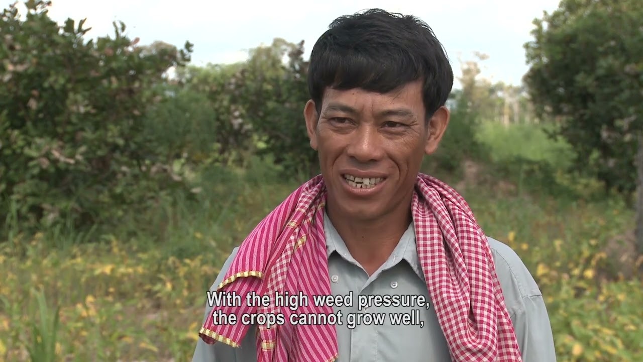 Land degradation in Cambodian uplands