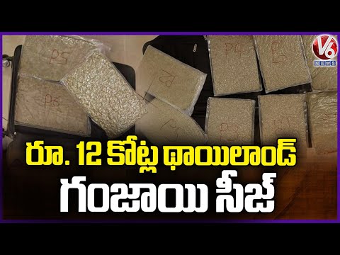 12 Kgs of Ganja Seized at Chennai Airport | V6 News - V6NEWSTELUGU