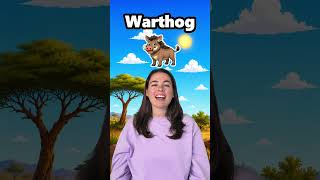 What is a warthog? - Toddler Learning with Betsy Bloom #toddlerlearning #kidslearning #babylearning