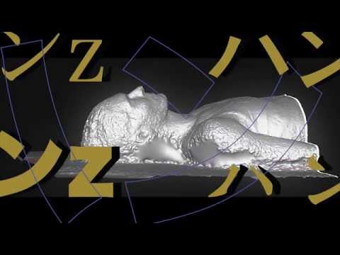 HANZ — Hanz - Capsule