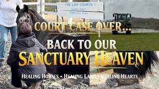 Court Case Over… Back to Our Sanctuary Heaven 🖤 Healing Horses, Healing Land, Healing Hearts