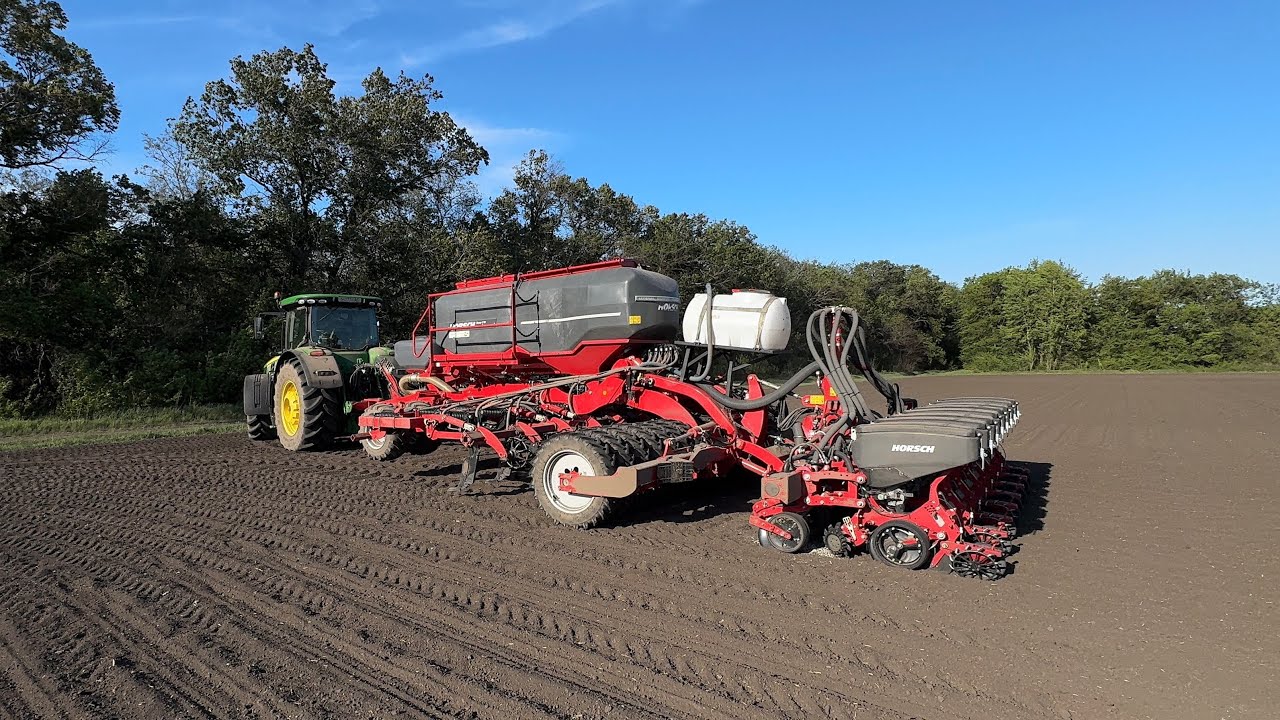 Посів соняшнику 2025 екстремальні умови ￼