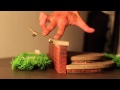 VOICE FSB - #HOMEWOOD FINGERBOARDS